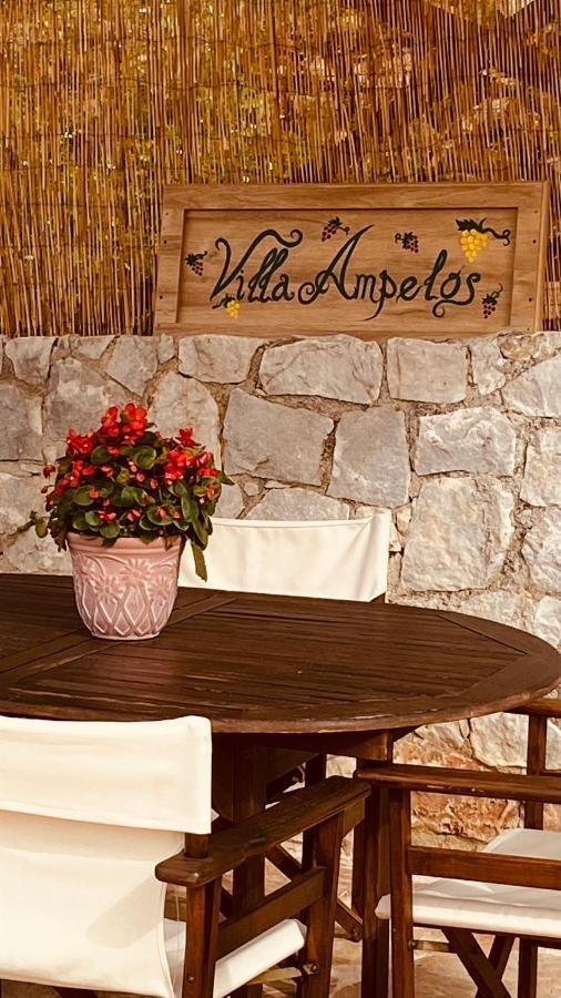 Yerolákkos Ampelos Cretan Villa - Private Pool & Heated Ozone Jacuzzi מראה חיצוני תמונה